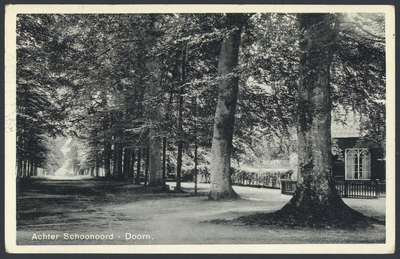 17793 Gezicht in een boslaan achter het huis Schoonoord te Doorn.